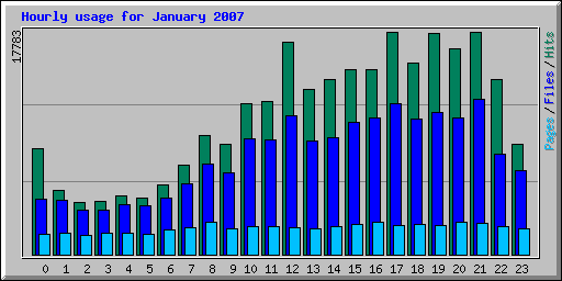 Hourly usage for January 2007